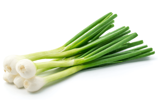 Spring Onion