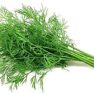 Dill (500gm)