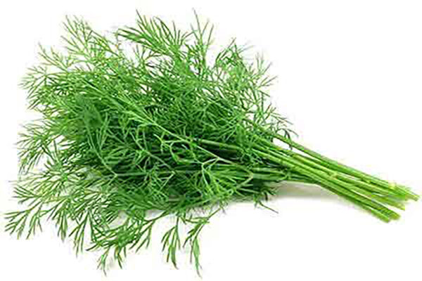 Dill (500gm)