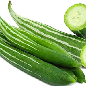 Cicinga