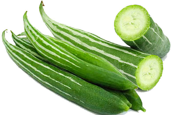 Cicinga