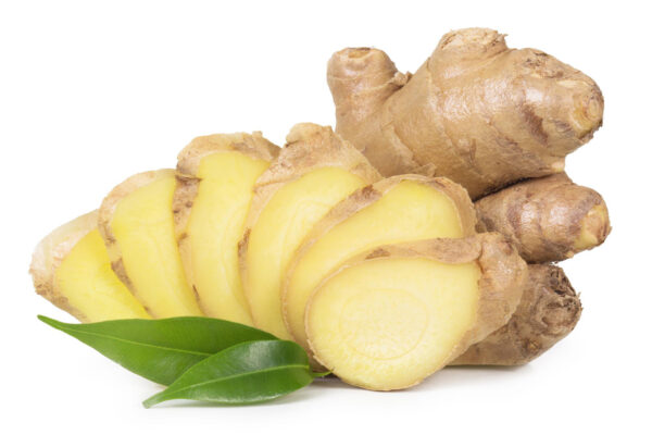 Ada (Ginger)
