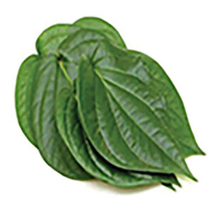 Bangla Paan (Pack of 10)