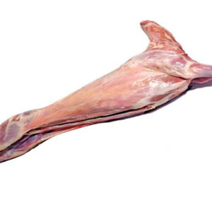 Whole Lamb (10Kg)