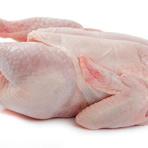 Broiler (Hard Chicken)