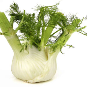 Mouri (Fennel)