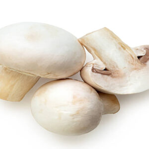 Mashroom