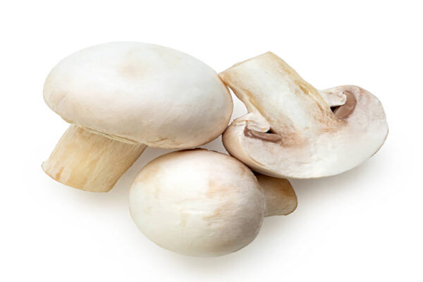Mashroom