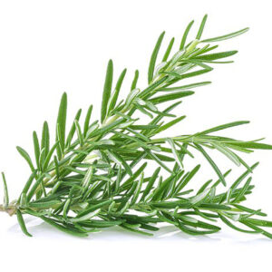Rosemary (500gm)