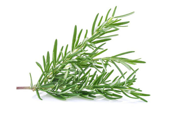 Rosemary (500gm)