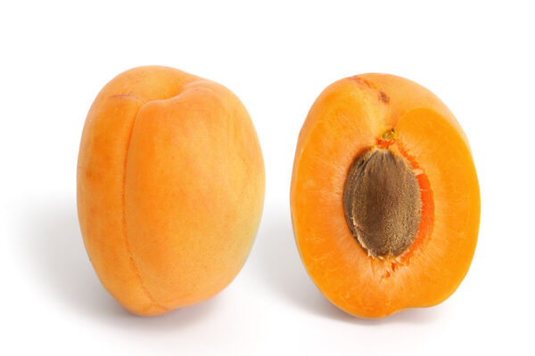 Apricote (Small Box)