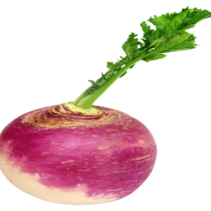 Shalgum