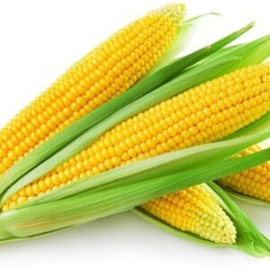 Sweet corn
