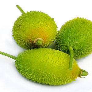 Kakrol