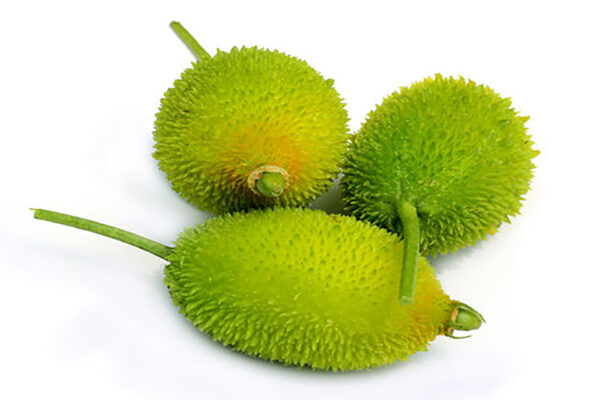 Kakrol