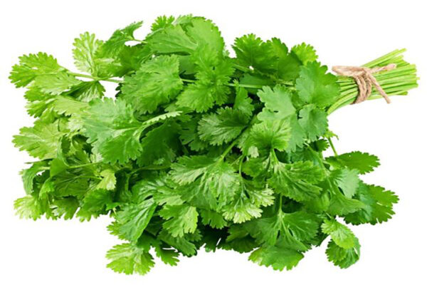 Fresh Coriander (200g)